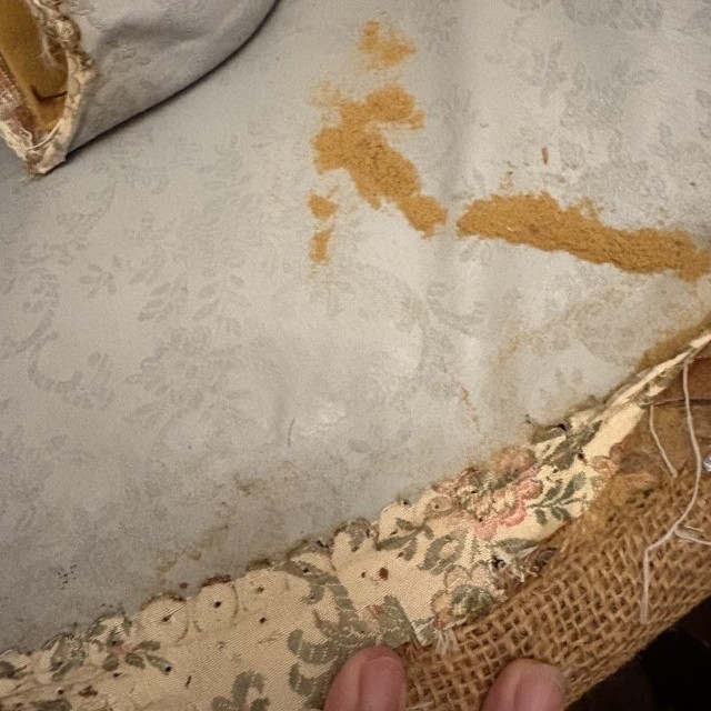 Réfection Semi-Partielle Bergère Style Louis XV