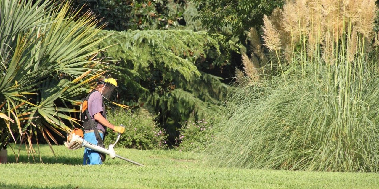 Débroussaillage : rappel des règles à connaître