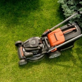 Entretien jardins Formule Eco