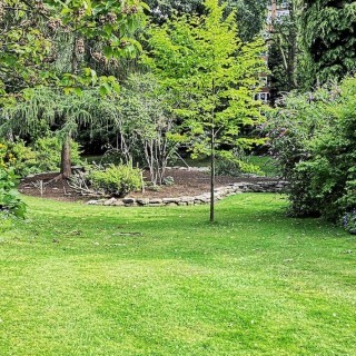 Entretien jardins Formule Eco