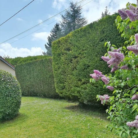 creation particulier