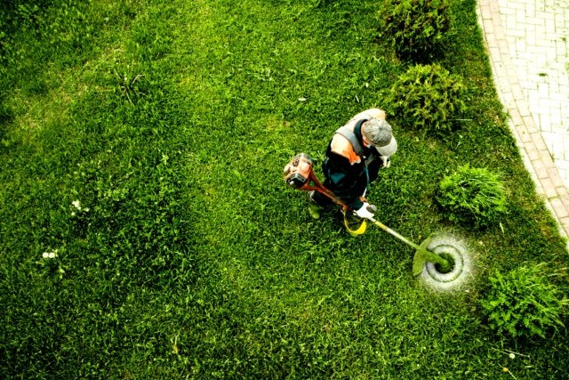 Pourquoi Faire Appel à un Paysagiste : L'Art et la Technique au Service de Votre Jardin