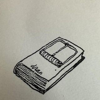 Dran - Pinocchio - 32 x 44 cm