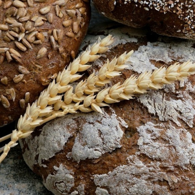 Le pain de seigle