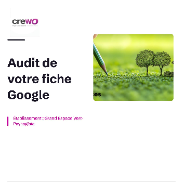 Audit fiche Google business