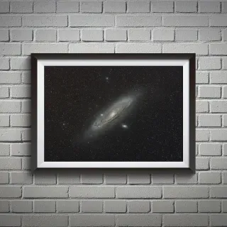 Table full of spices