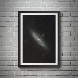 Table full of spices