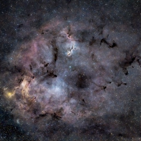 IC 1396