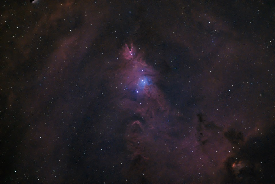 NGC 2264