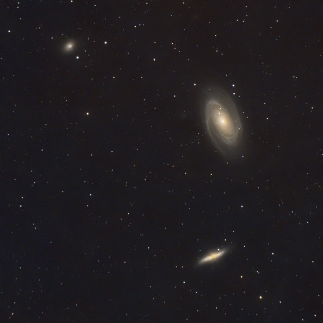 M 81