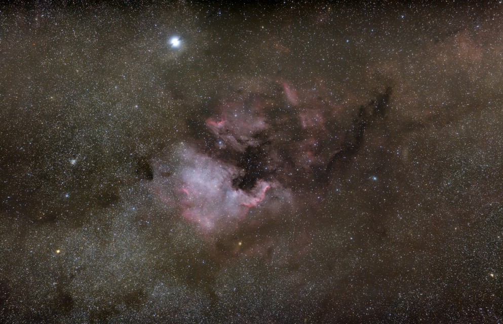 NGC 7000