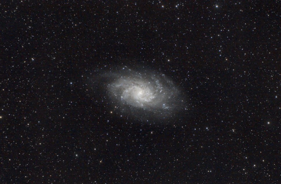 M33