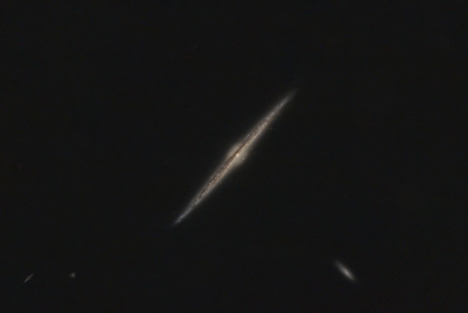 NGC 4565