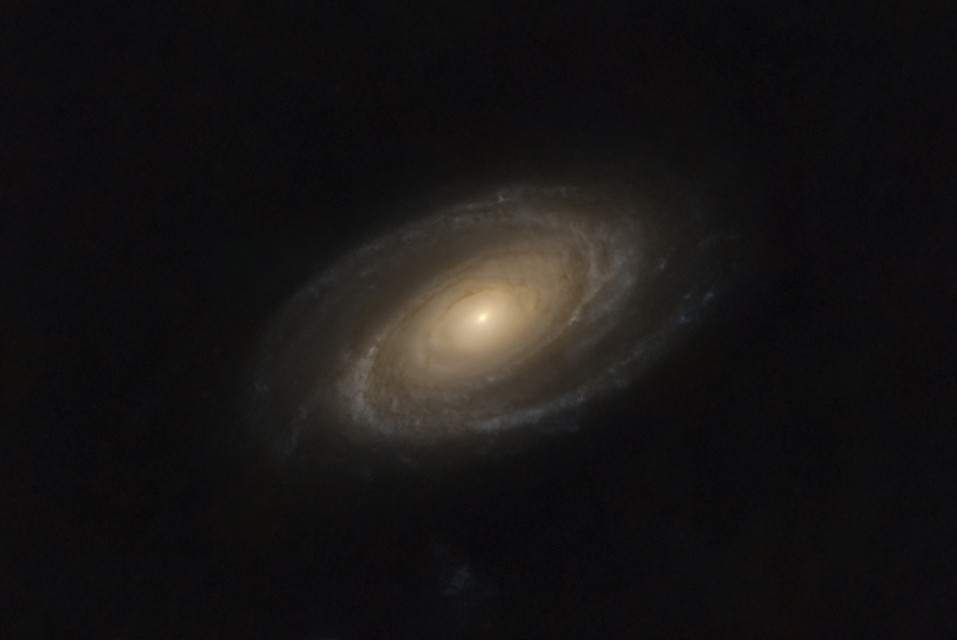 M82
