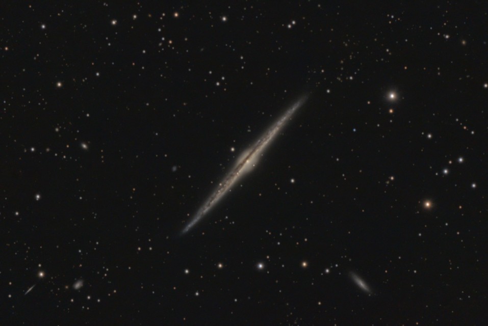 NGC 4565