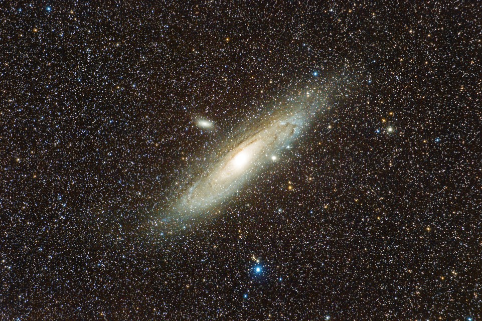 M31