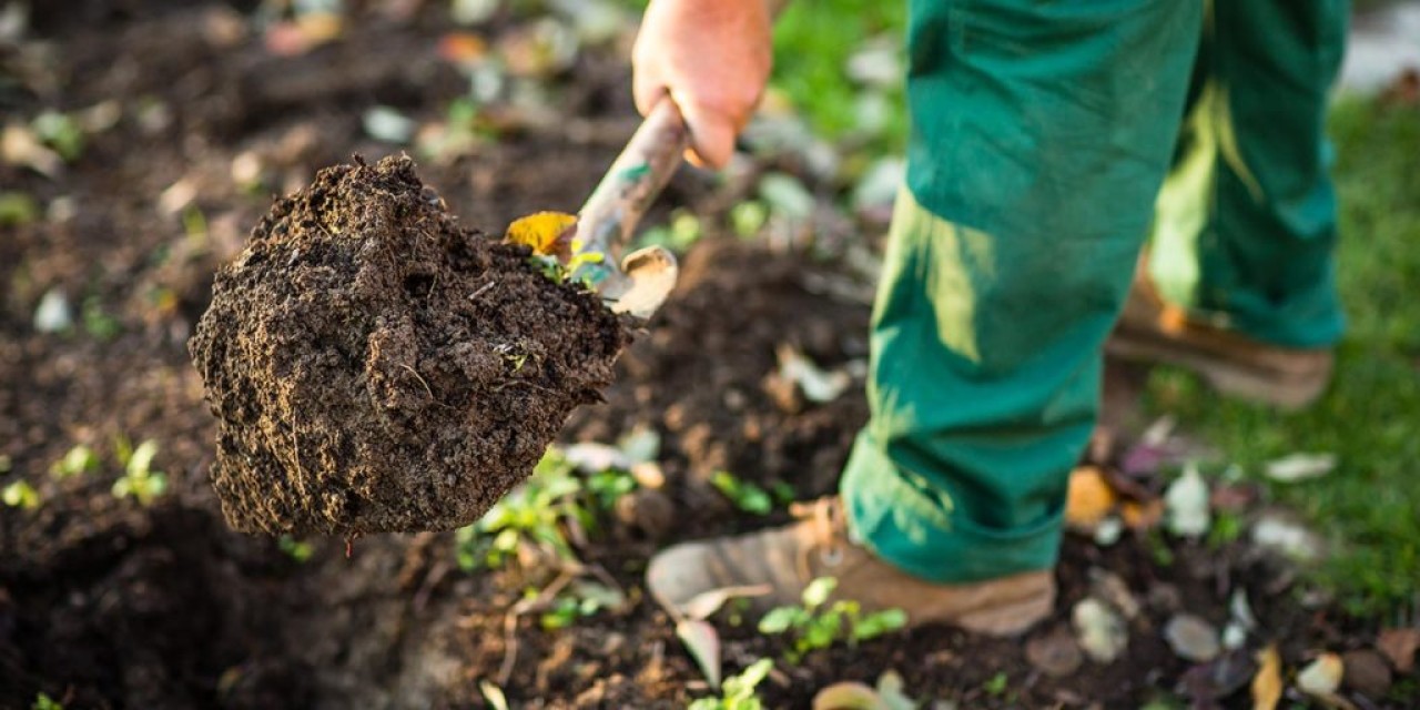 Préparer son jardin pour le printemps : Conseils pratiques pour les jardiniers