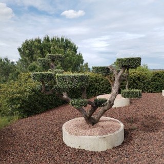 Voici quelques exemples de nos réalisations