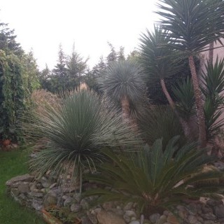 Voici quelques exemples de nos réalisations