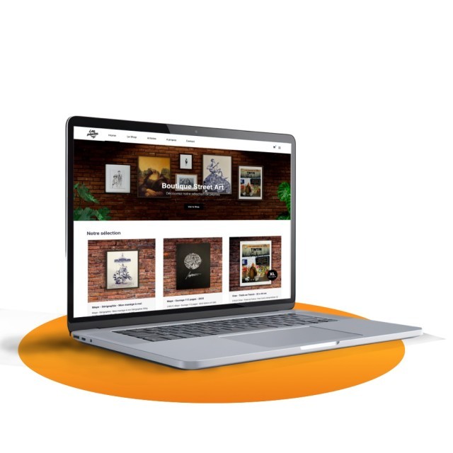 Conception de site internet professionnel