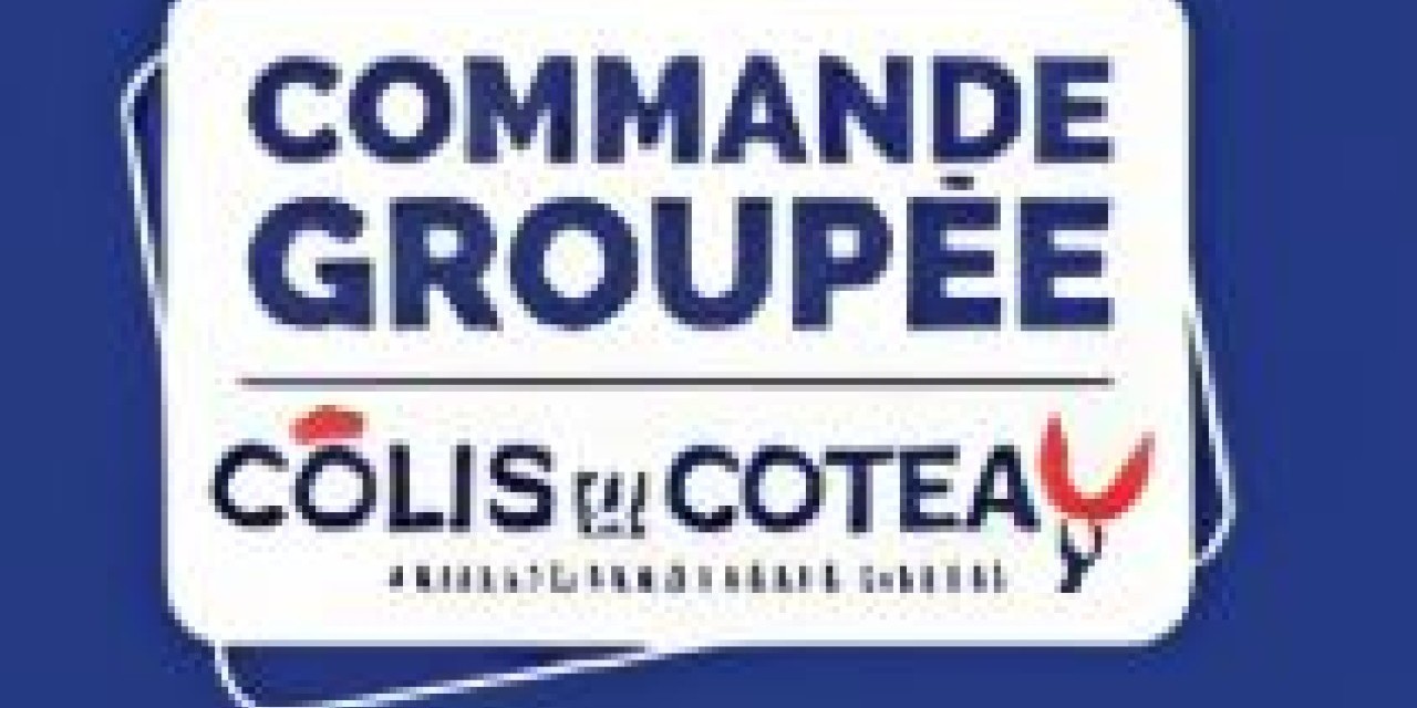 COMMANDE GROUPEE