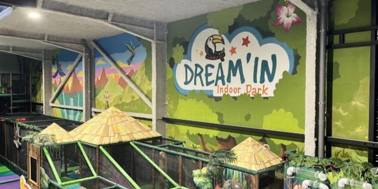 DREAM IN INDOOR PARK