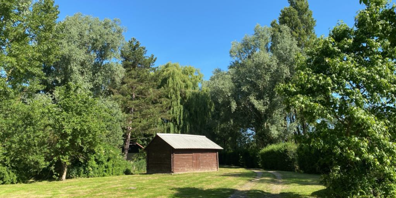 Rejoignez notre équipe de bénévoles