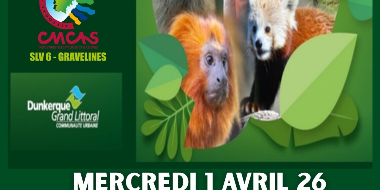 ZOO BIO TOPIA - CHASSE AUX OEUFS