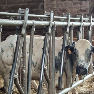 SLVIE 6 - Visite de la ferme Beun - 17/06/2026