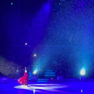 SLVie 6 - Disney sur Glace 19/01/2025