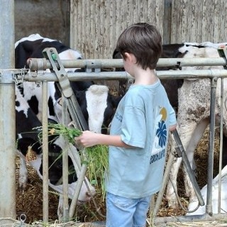 SLVIE 6 - Visite de la ferme Beun - 17/06/2026