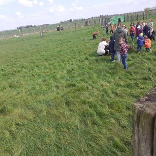 SLVie 6 - Camélus - Avril 2024