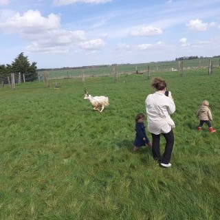 SLVie 6 - Camélus - Avril 2024