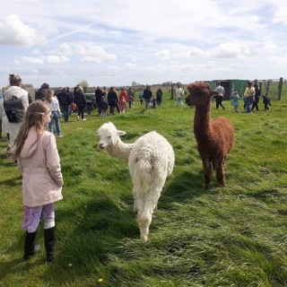 SLVie 6 - Camélus - Avril 2024