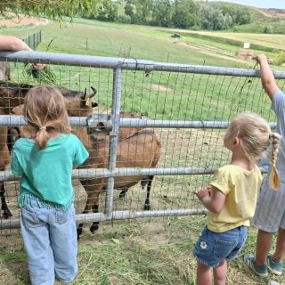 SLVIE 6 - Visite de la ferme Beun - 17/06/2026