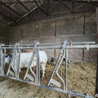 SLVIE 6 - Visite de la ferme Beun - 17/06/2026