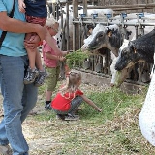 SLVIE 6 - Visite de la ferme Beun - 17/06/2026