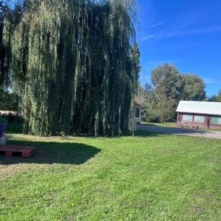 Etang de Balinghem - Entretien des espaces verts