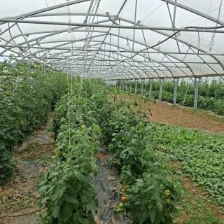 SLVIE 6 - Visite de la ferme Beun - 17/06/2026