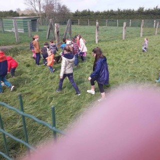 SLVie 6 - Camélus - Avril 2024