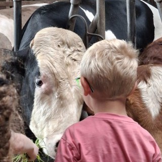 SLVIE 6 - Visite de la ferme Beun - 17/06/2026