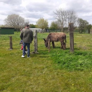 SLVie 6 - Camélus - Avril 2024