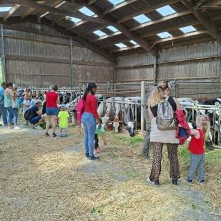 SLVIE 6 - Visite de la ferme Beun - 17/06/2026