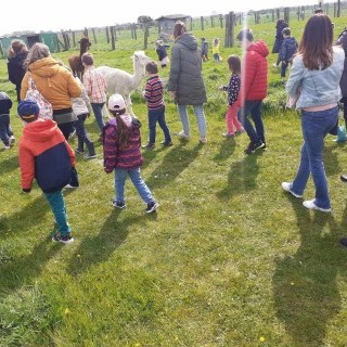 SLVie 6 - Camélus - Avril 2024