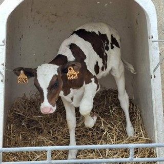 SLVIE 6 - Visite de la ferme Beun - 17/06/2026