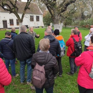 BALADE NATURE - Furnes-Musée de la Boulangerie en Pays Flamand - 15/11/2024