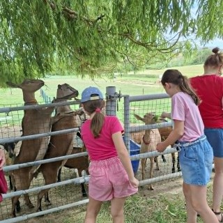 SLVIE 6 - Visite de la ferme Beun - 17/06/2026