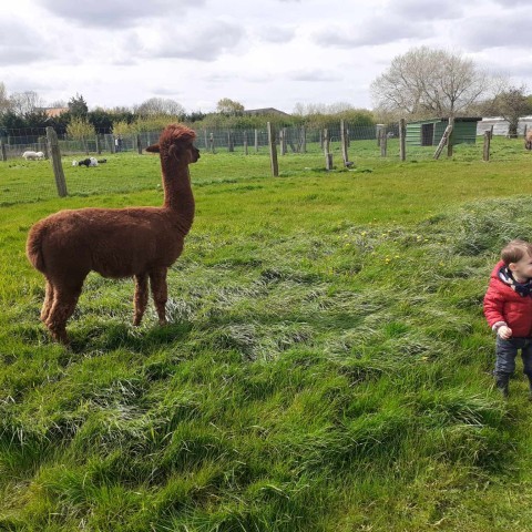 SLVie 6 - Camélus - Avril 2024