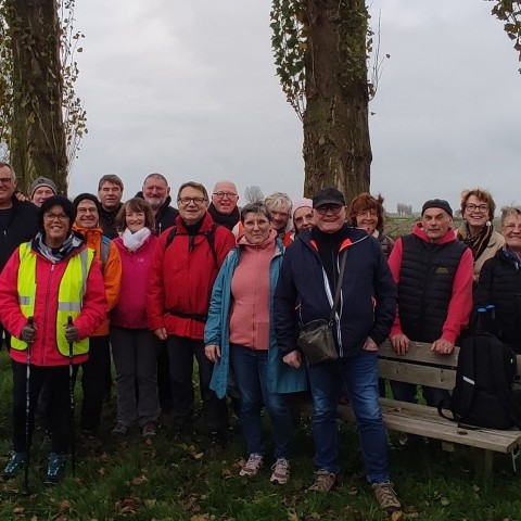 BALADE NATURE - Furnes-Musée de la Boulangerie en Pays Flamand - 15/11/2024