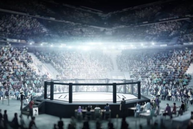 MMA - ADIDAS ARENA PARIS